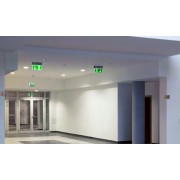 Аварийная подсветка ДПА 2104-С централизованного питания 24/220В IP20